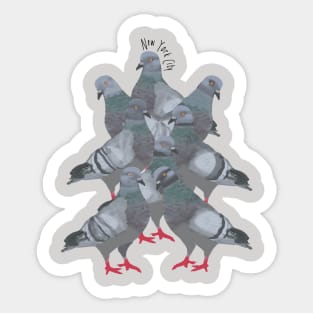 New York City Pigeons Sticker